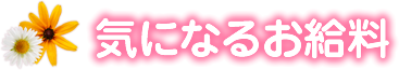 気になるお給料