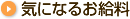 気になるお給料